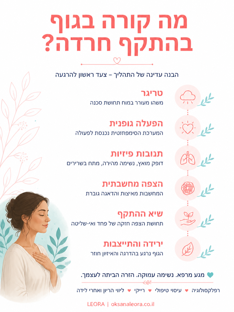 אינפוגרפיקה: התקף חרדה - לֶאוֹרָה אנרגיה וריפוי | Oksana Leora